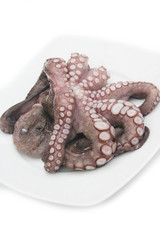 Polipo fresco su piatto su sfondo bianco