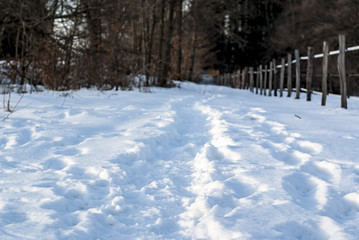 Spuren im Schnee