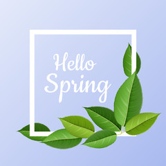 Spring frame with realistic green leaf. White square border on blue background, with hello spring message
