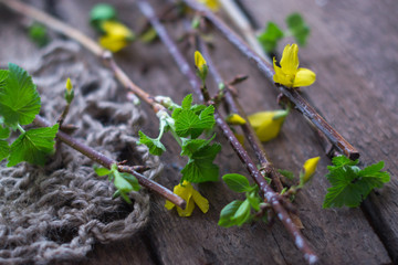 Spring branch with green leaves on a wooden