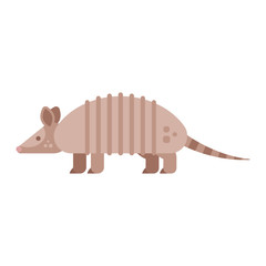 Vector flat style illustration of armadillo.