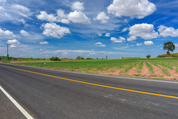 Fototapeta premium Asphalt road and countryside views