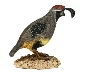 Statuette of the California quail isolated on white background