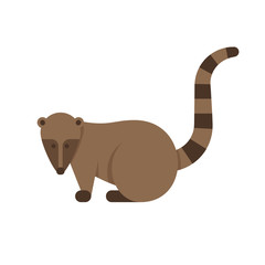 Vector flat style illustration of nasua.