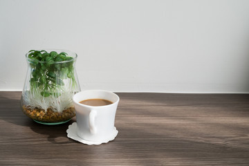 Office desk with fresh coffee cup, dwarf tree on glass vase and cement wall background.