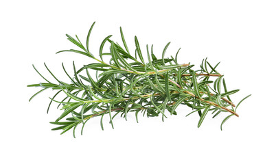 pile of fresh rosemary isolated on white background