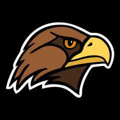 Obraz premium Eagle. The head of a bird of prey.