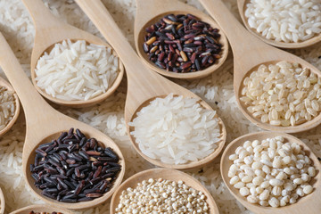 Top view different rice on wooden spoon