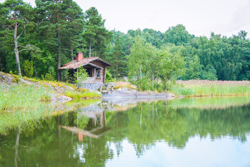 forest and water in Finland