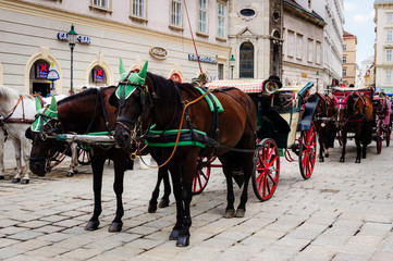 Fototapeta na wymiar horse-drawn carriage tradition,Vienna Austria