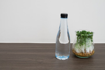 office desk with bottle of water and garden plant on glass vase on cement wall background texture at living room.