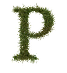 P Green grass alphabet