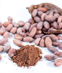 cocoa beans and cocoa fruit on white