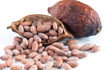 cocoa beans and cocoa fruit on white