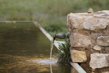 Fuente en el campo