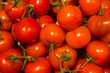 Red tomatoes