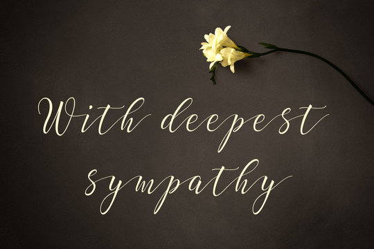 With deepest sympathy - text with flower on a chalkboard