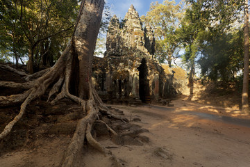 Entrace gate in Angkor alongside Giant Tree with overgrown roots 