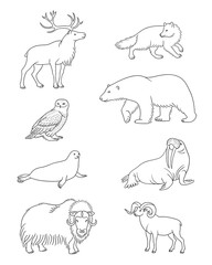 Set of vector Arctic animals in contours