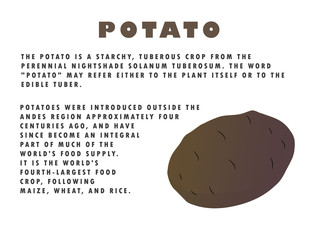 Potato illustration with text description