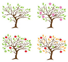 vector season apple tree