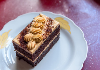 Chocolate cake on white plate
