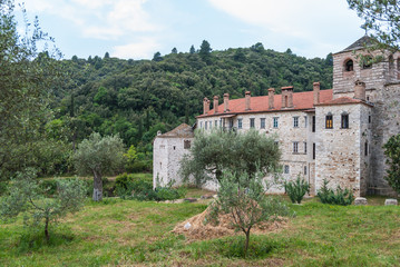 Fototapeta na wymiar Ancient orthodox monastery surrounded by old olive trees, Mount Athos, Greece