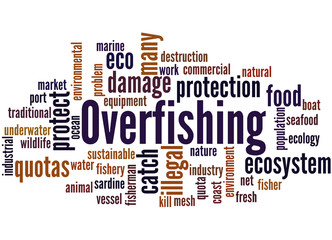 Overfishing, word cloud concept 2