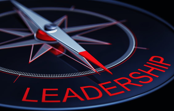 3D rendering of a leadership compass