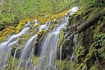 Obraz premium Pacific Northwest