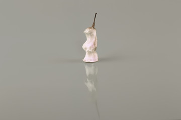 Fototapeta premium stub, pear, abstract gray background