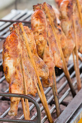 half chicken on sticks