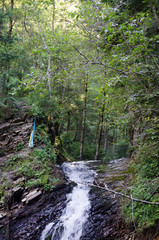 Fototapeta na wymiar the flow of water in the mountains