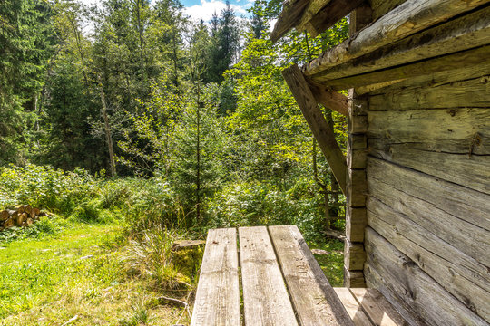 Holzhütte im Wald bei Sonnenschein