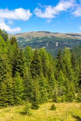 Bewaldete Bergkuppen unter blauem Himmel