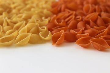 conchiglie pasta, pasta, tomato pasta, regular pasta, spinach pasta, tricolors pasta, 