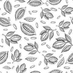 Cocoa branch vector seamless pattern. Superfood drawing. Isolated hand drawn background on white background. - 138493752
