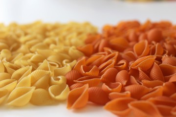 conchiglie pasta, pasta, tomato pasta, regular pasta, spinach pasta, tricolors pasta, 