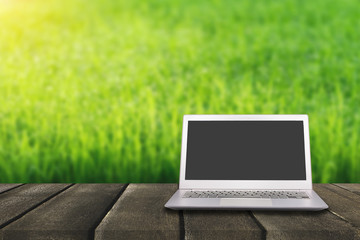 Laptop with blank screen on wooden table with green rice field and flare