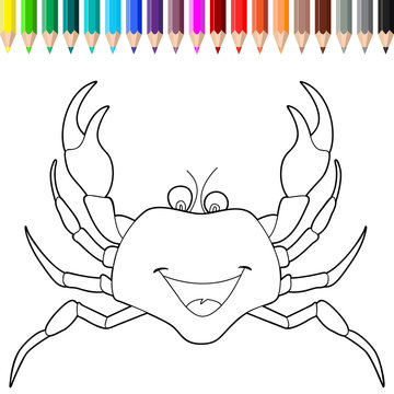 Coloring book - crab - vector - sea animal