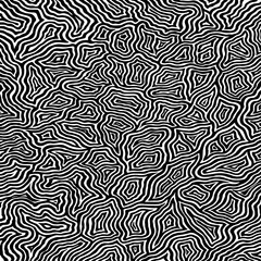 Fototapeta premium Abstract black & white topographic background