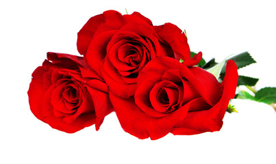 Three red roses.
