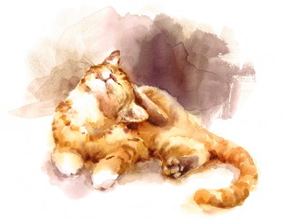 Watercolor Tabby Cat Laying Down Scratching Its Head Hand Painted Pet Portrait Illustration