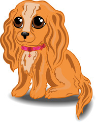 Векторное изображение щенок спаниеля
