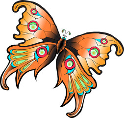 Векторное изображение разноцветная тропическая бабочка изолированная на белом фоне