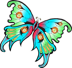 Векторное изображение разноцветная тропическая бабочка изолированная на белом фоне