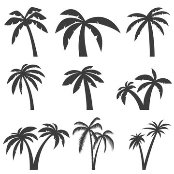 Set of palm tree icons isolated on white background. Design elements for logo, label, emblem, sign, menu. Vector illustration.