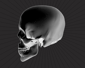 Engraving side view skull on gray BG