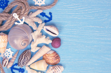 Naklejka premium summer background made of seashells and Maritime objects
