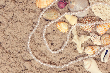 summer background with seashell on sand